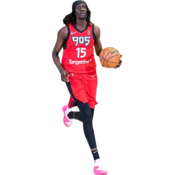 player render