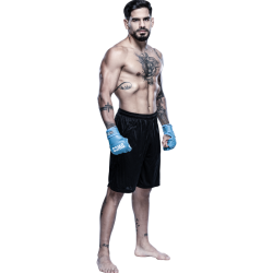 Player render