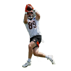 player render