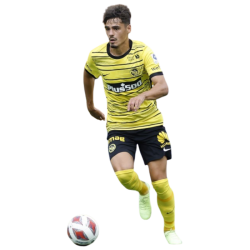player render