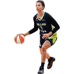 player render