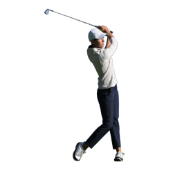 Player render