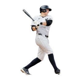 Player render