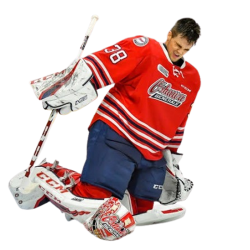 player render