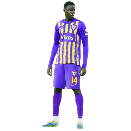 Diabel Ndoye profile image