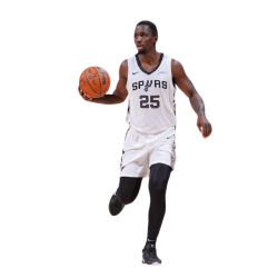 Player render