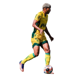 Player render