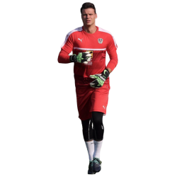 Player render