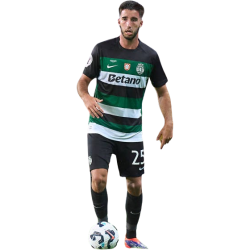 Player render