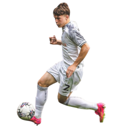player render