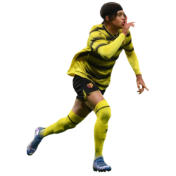 player render