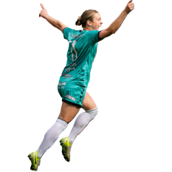 player render