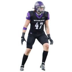 player render