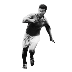 Player render