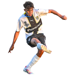 player render