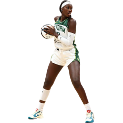 player render
