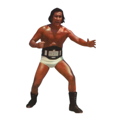 player render