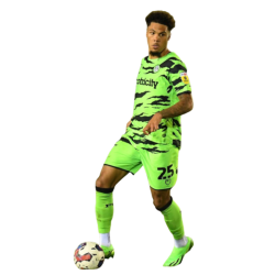 player render