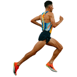 Player render