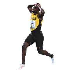 player render