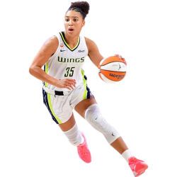 player render