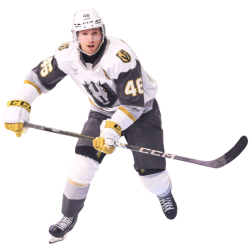 player render