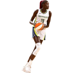 player render