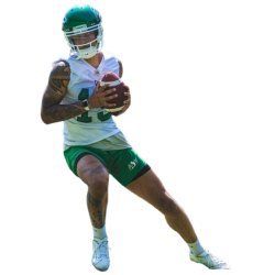 Player render