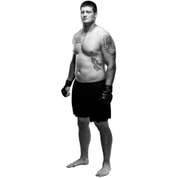 Player render