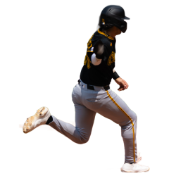 player render