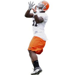 Player render