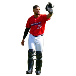 player render