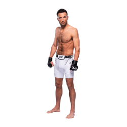 Player render