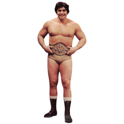player render