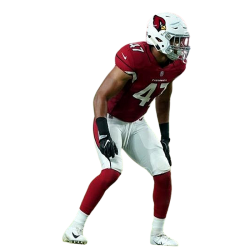 Player render