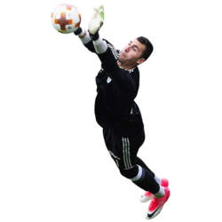 player render