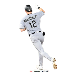 player render