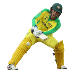 Player render