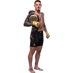 player render