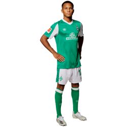 player render