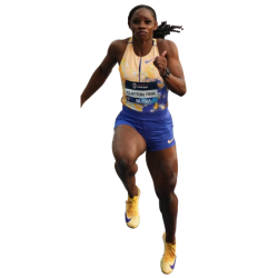player render