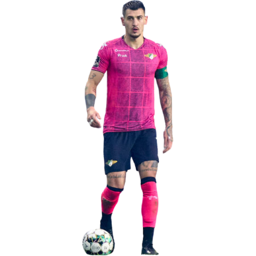 Lazar Rosić profile image