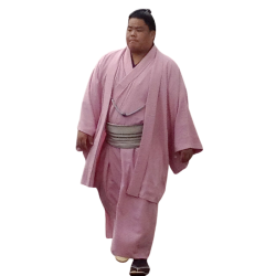 Player render
