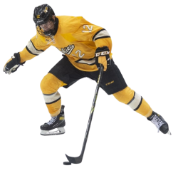 player render