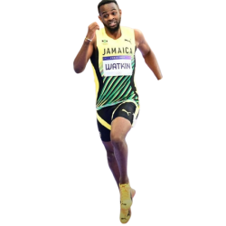 player render