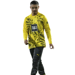 player render