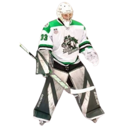 player render