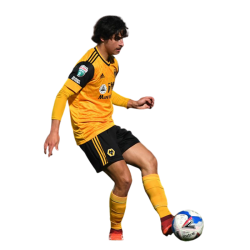 player render