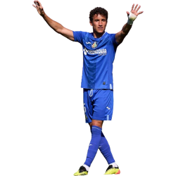 Player render