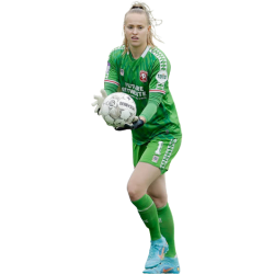 player render